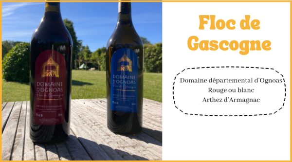 fiche produit site internet (1)