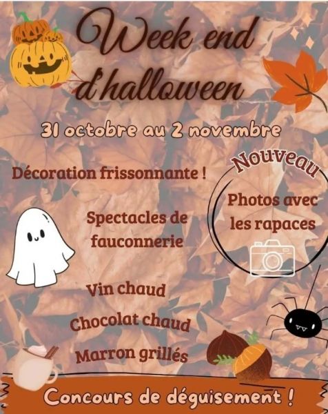 parce des rapaces halloween 